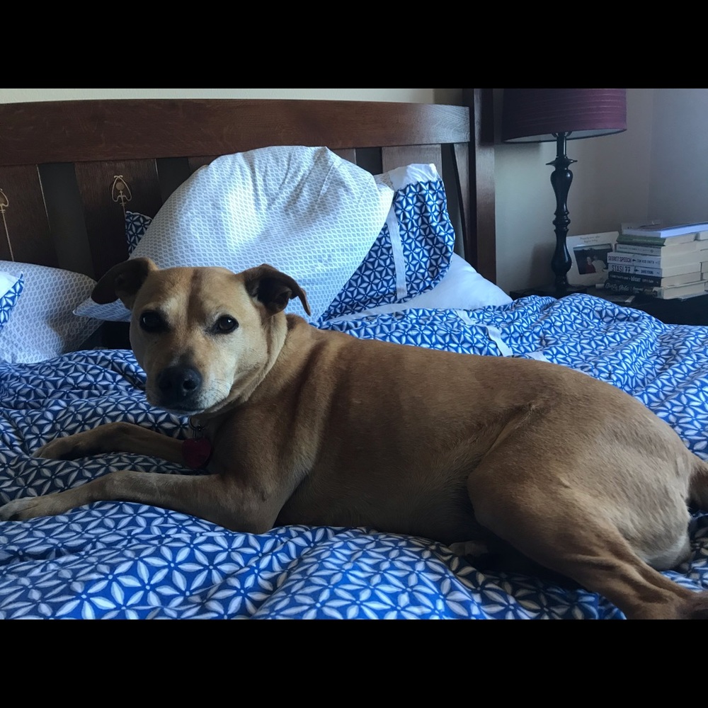 Meet your Posher, Maggie